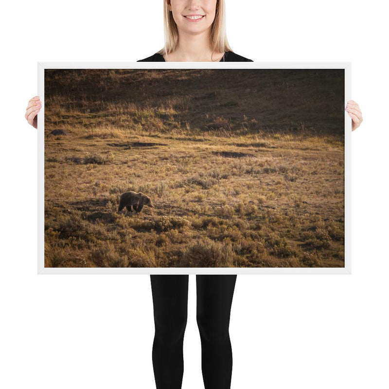 Grizzly - Go Wild Photography [description]  [price]