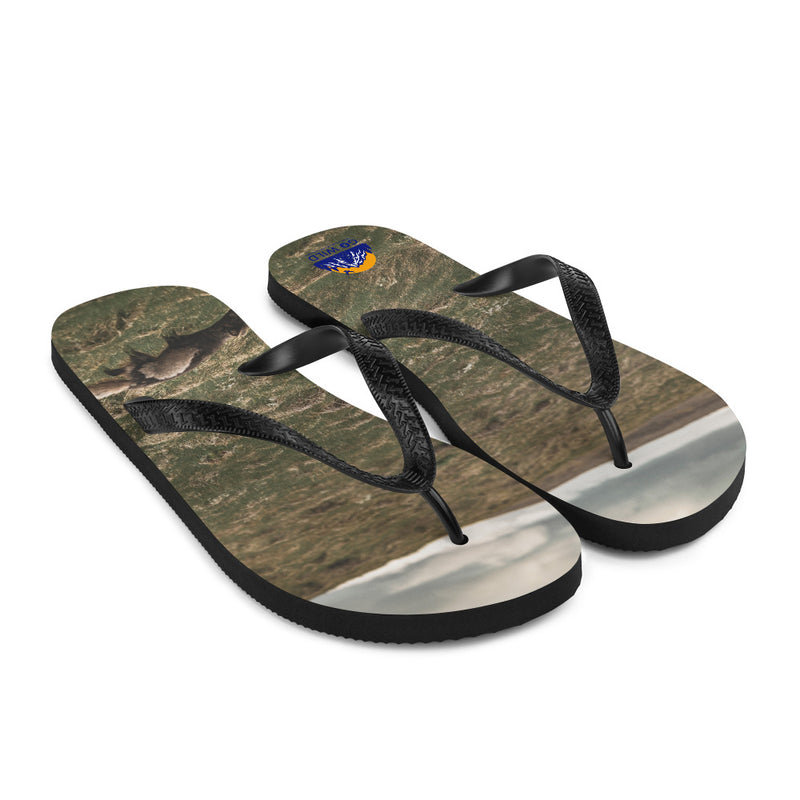 Into the Wind Flip-Flops - Go Wild Photography [description]  [price]