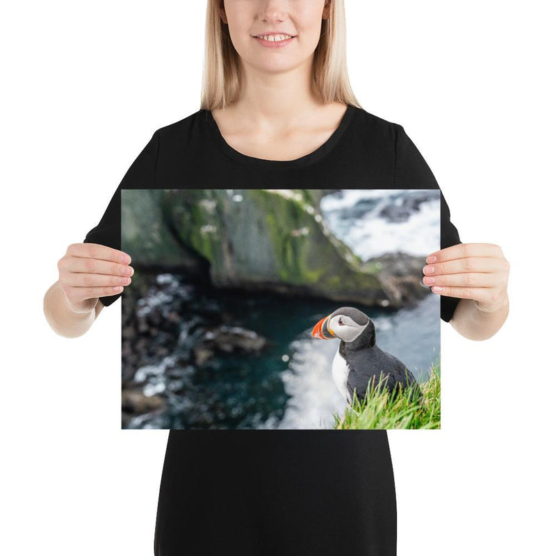 Puffin Cliffs - Go Wild Photography [description]  [price]