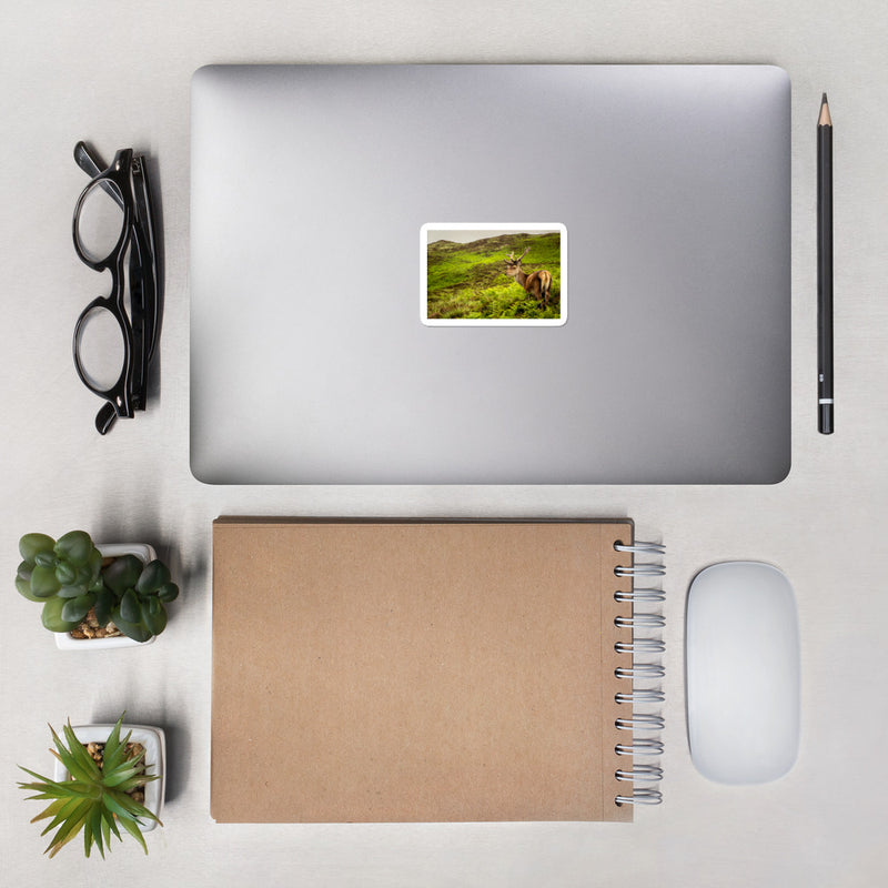 Prince of the Forest Bubble-free stickers - Go Wild Photography [description]  [price]