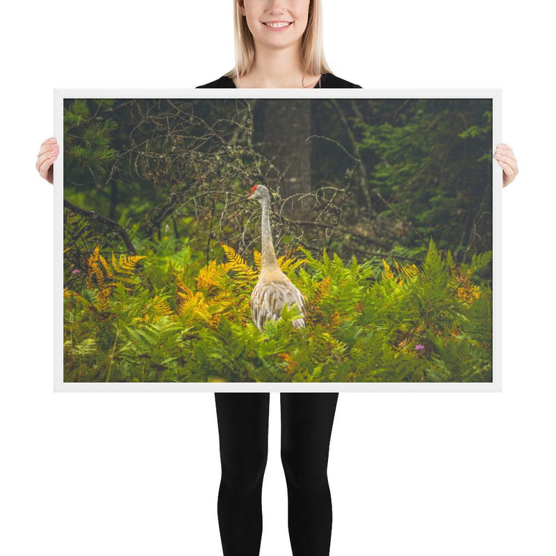 Sandhill Crane - Go Wild Photography [description]  [price]