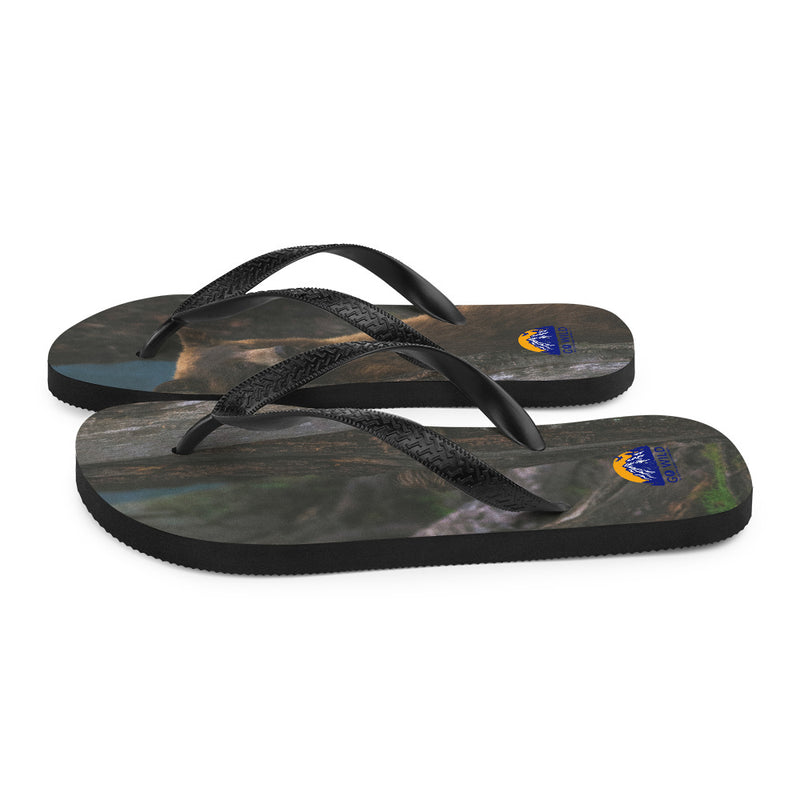 Bear Hug Flip-Flops - Go Wild Photography [description]  [price]