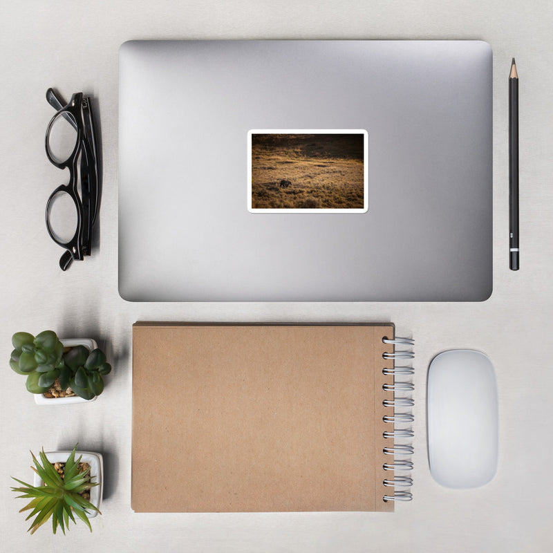 Grizzly Bubble-free stickers - Go Wild Photography [description]  [price]
