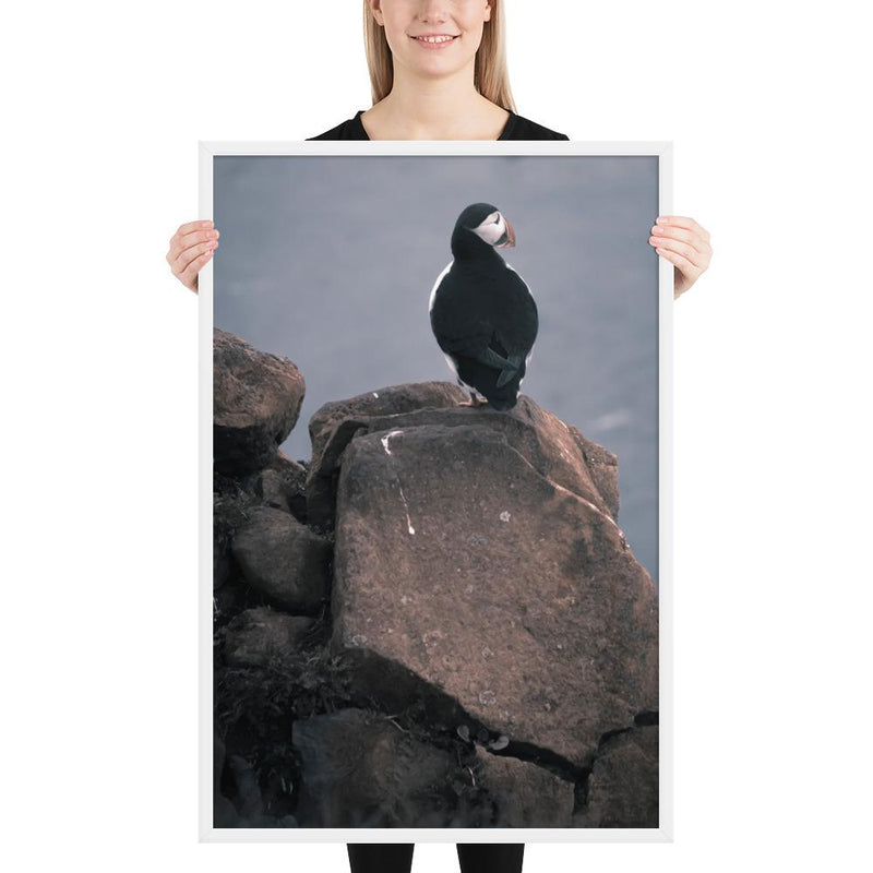 Lone Puffin - Go Wild Photography [description]  [price]