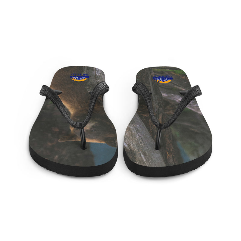 Bear Hug Flip-Flops - Go Wild Photography [description]  [price]