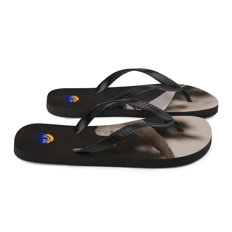 Cattle Egret Flip-Flops - Go Wild Photography [description]  [price]