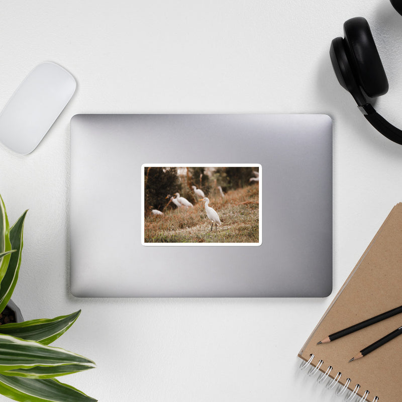 Winter Egret Bubble-free stickers - Go Wild Photography [description]  [price]