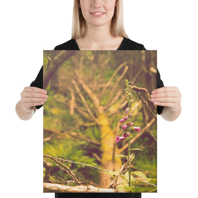 Life Finds a Way - Go Wild Photography [description]  [price]