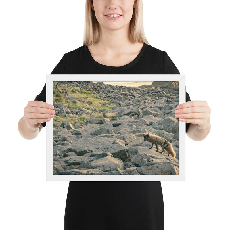 Arctic Fox - Go Wild Photography [description]  [price]