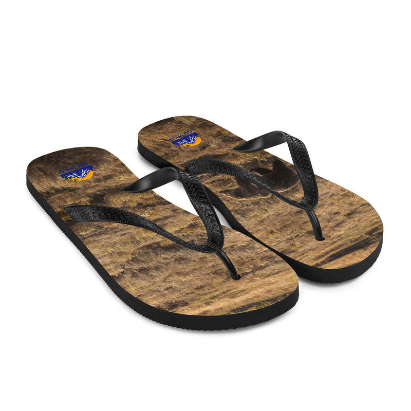 Grizzly Flip-Flops - Go Wild Photography [description]  [price]