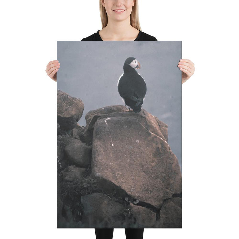 Lone Puffin - Go Wild Photography [description]  [price]
