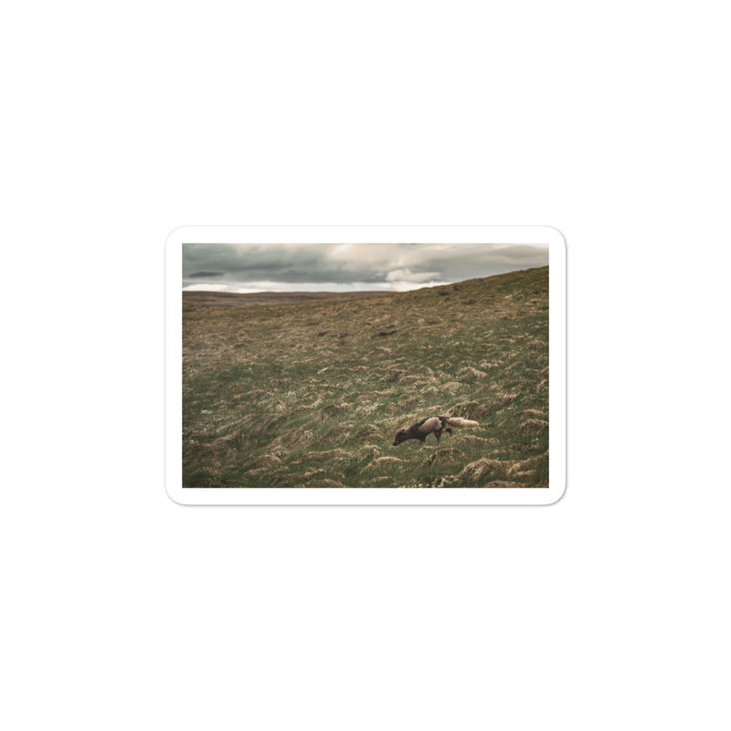 Into the Wind Bubble-free stickers - Go Wild Photography [description]  [price]