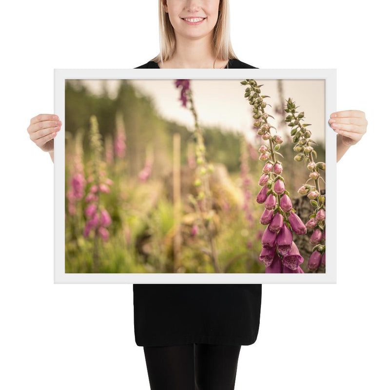 Fox Gloves - Go Wild Photography [description]  [price]