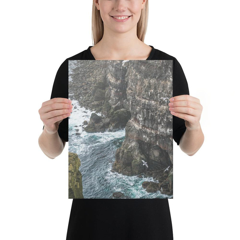 Gull Gulley - Go Wild Photography [description]  [price]