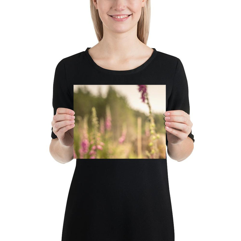 Fox Gloves - Go Wild Photography [description]  [price]