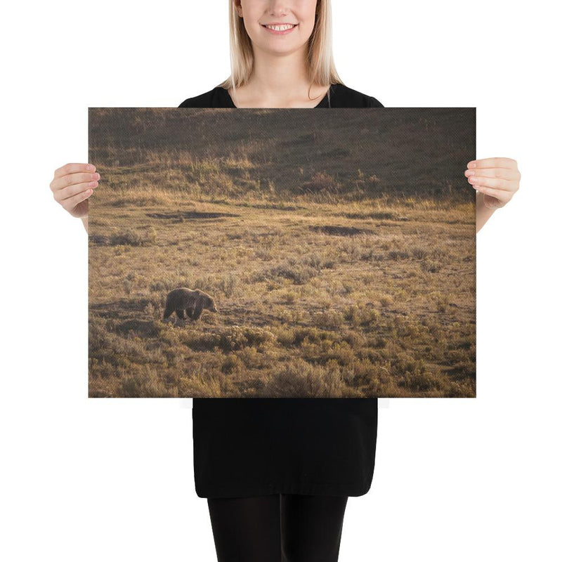 Grizzly - Go Wild Photography [description]  [price]