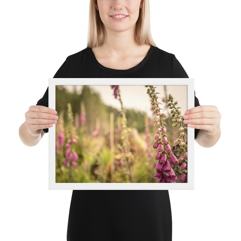Fox Gloves - Go Wild Photography [description]  [price]