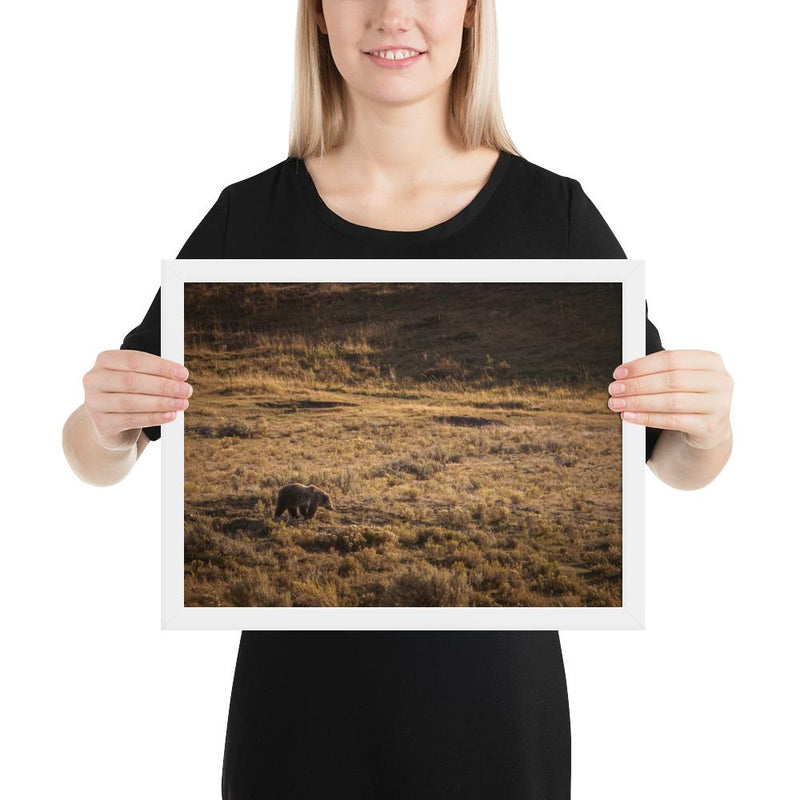 Grizzly - Go Wild Photography [description]  [price]