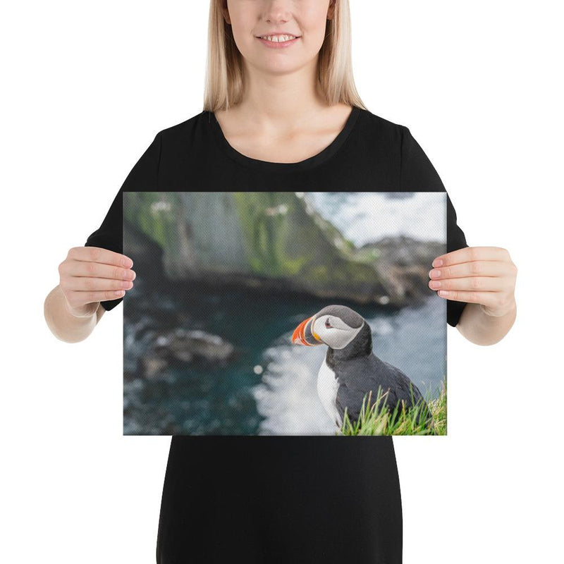 Puffin Cliffs - Go Wild Photography [description]  [price]
