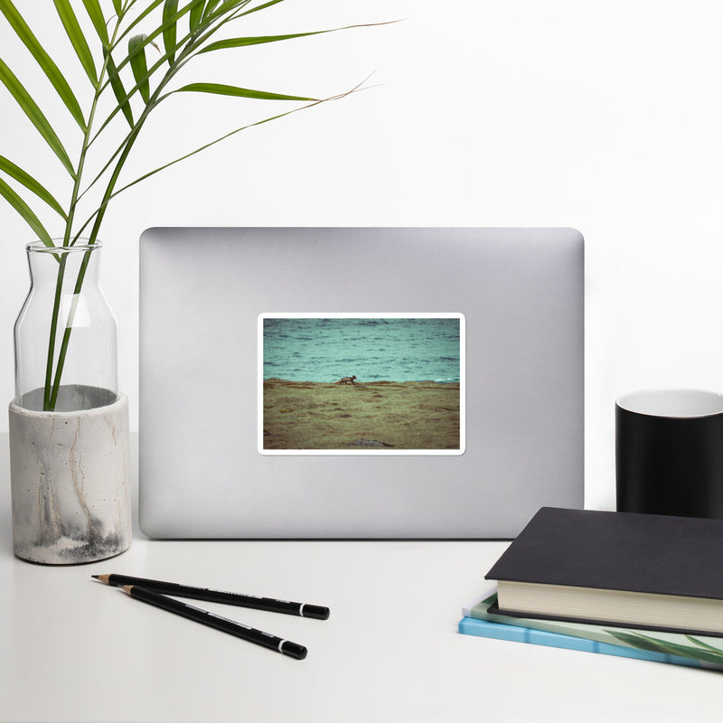 Gorged Bubble-free stickers - Go Wild Photography [description]  [price]