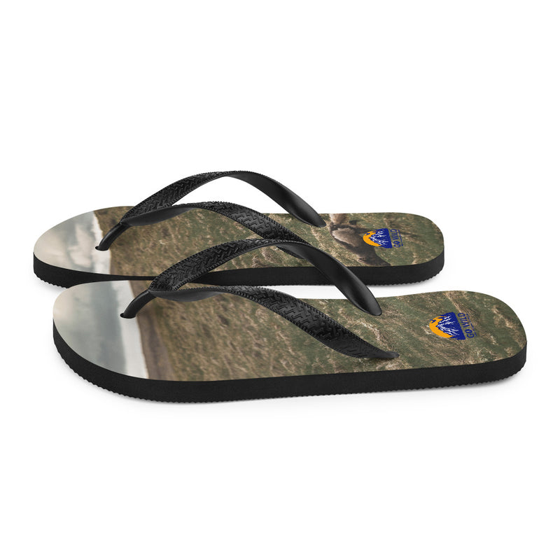 Into the Wind Flip-Flops - Go Wild Photography [description]  [price]