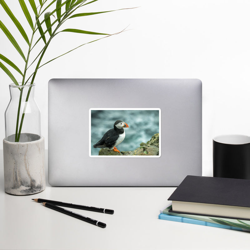 Atlantic Puffin Bubble-free stickers - Go Wild Photography [description]  [price]