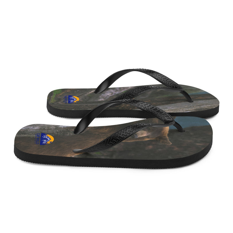Bear Hug Flip-Flops - Go Wild Photography [description]  [price]