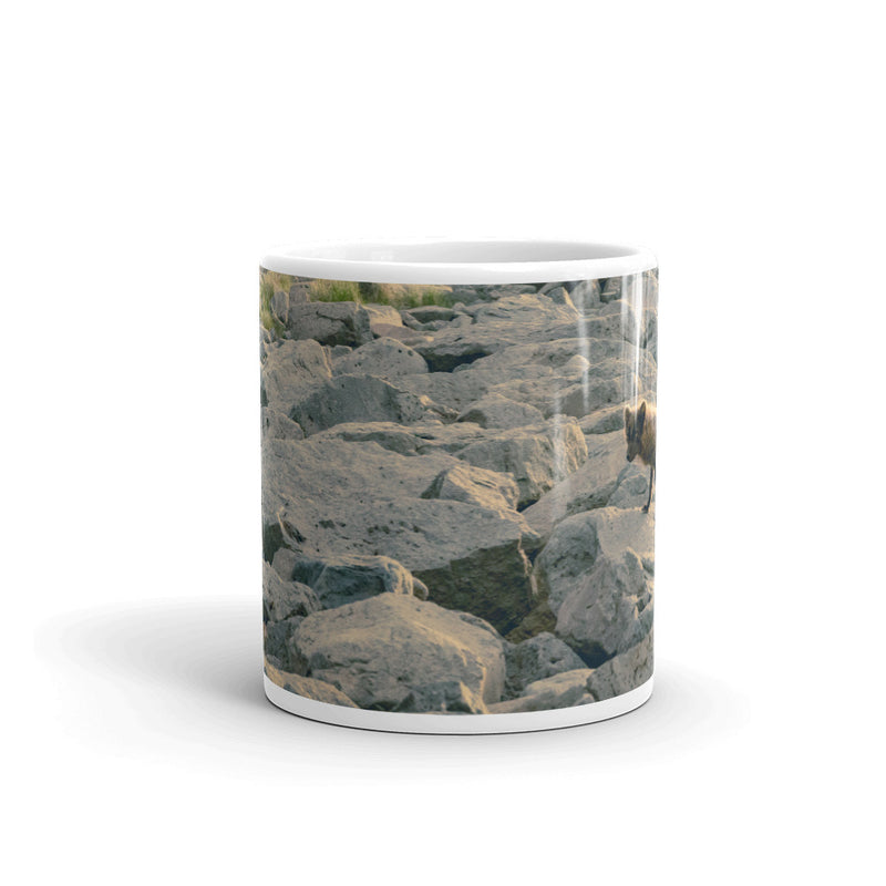 Arctic Fox Coffee Mug - Go Wild Photography [description]  [price]