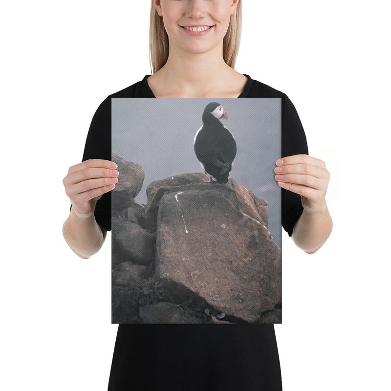 Lone Puffin - Go Wild Photography [description]  [price]