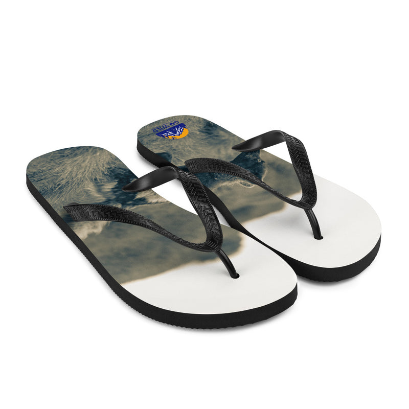 Crazy Like a Fox Flip-Flops - Go Wild Photography [description]  [price]