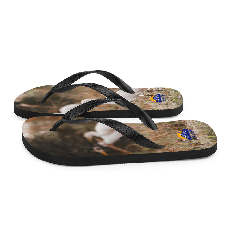 Winter Egret Flip-Flops - Go Wild Photography [description]  [price]