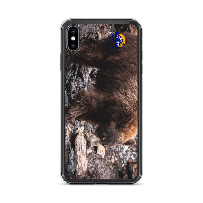 Morning Stroll iPhone Case - Go Wild Photography [description]  [price]
