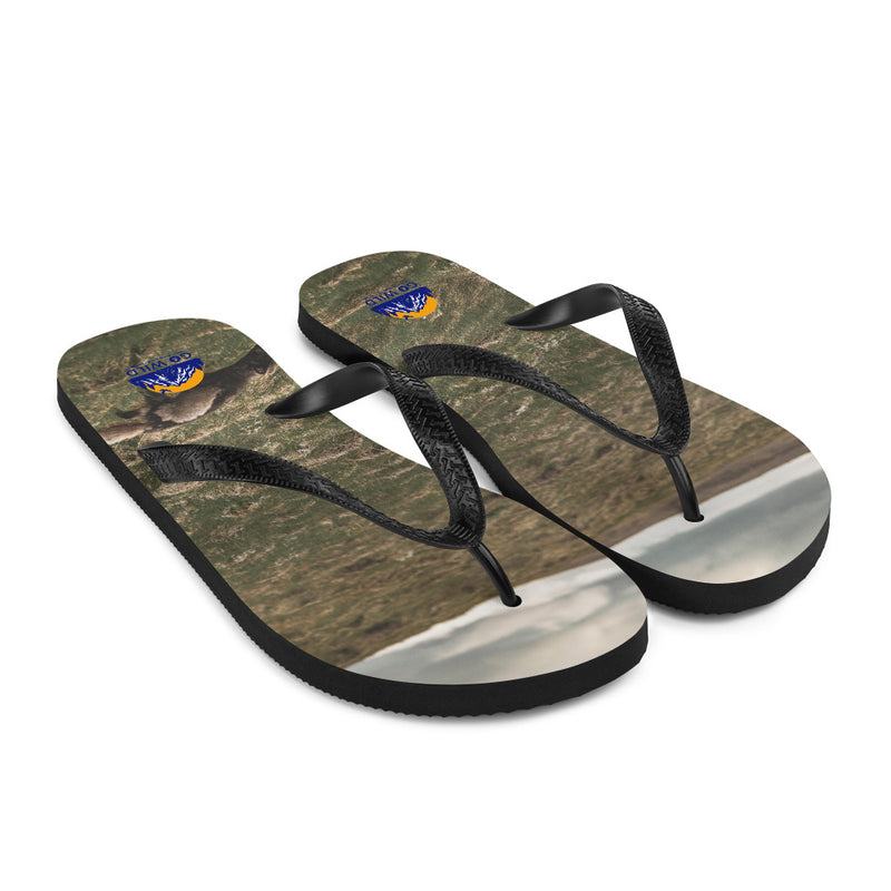Into the Wind Flip-Flops - Go Wild Photography [description]  [price]