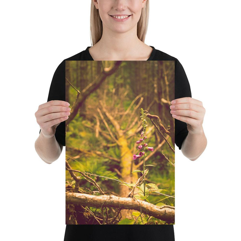 Life Finds a Way - Go Wild Photography [description]  [price]