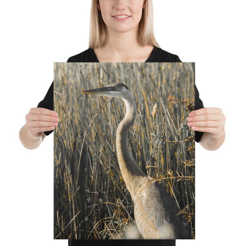 Heron - Go Wild Photography [description]  [price]