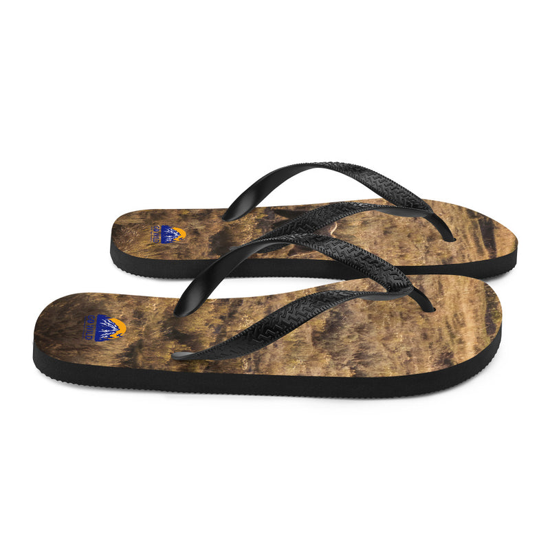 Grizzly Flip-Flops - Go Wild Photography [description]  [price]