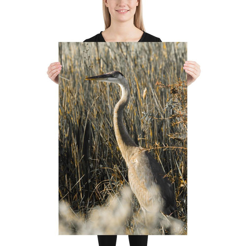 Heron - Go Wild Photography [description]  [price]