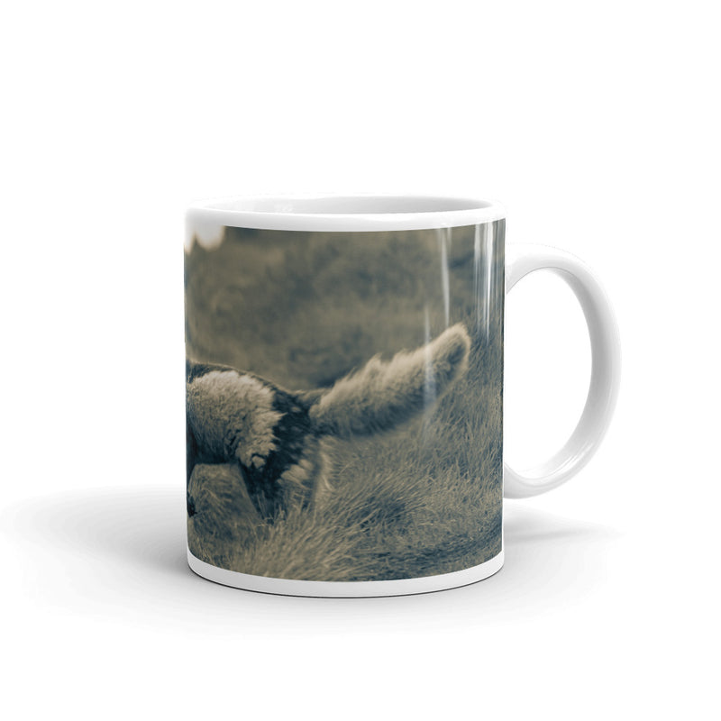 Crazy Like a Fox Mug - Go Wild Photography [description]  [price]