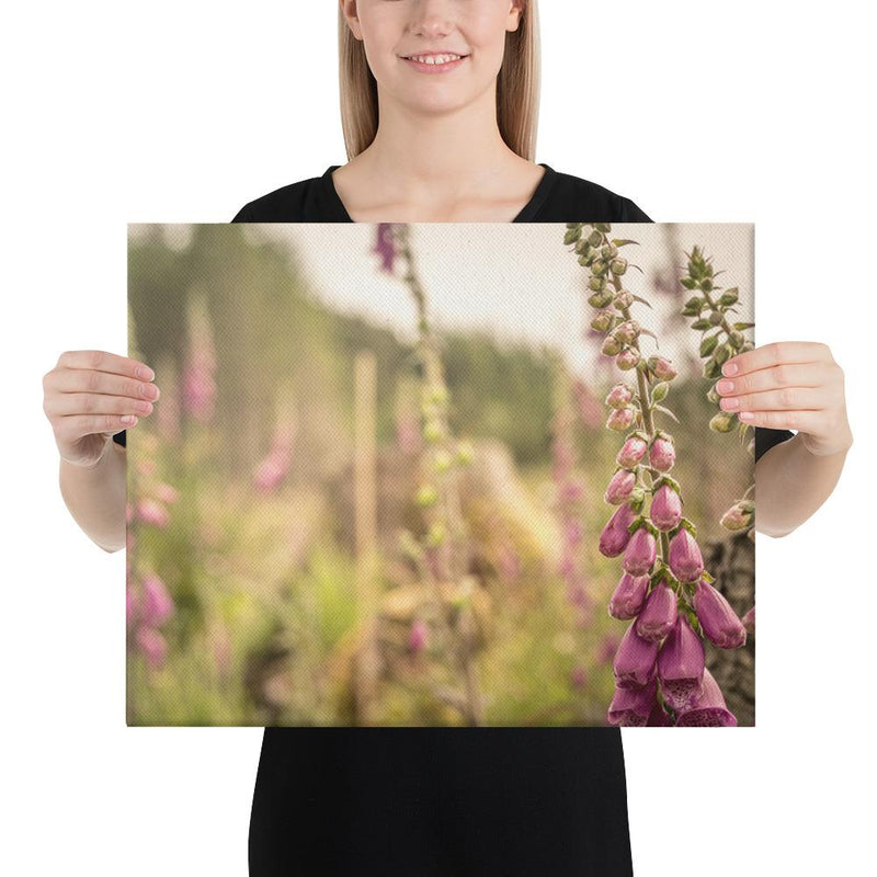 Fox Gloves - Go Wild Photography [description]  [price]