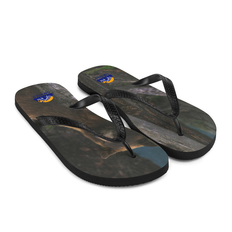 Bear Hug Flip-Flops - Go Wild Photography [description]  [price]