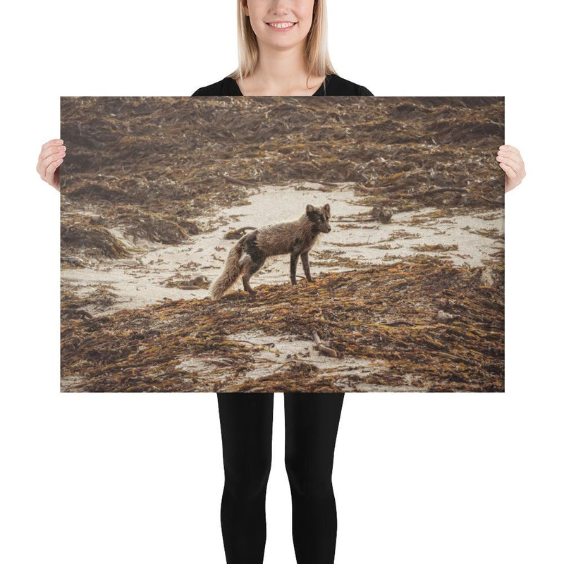 Vulpes - Go Wild Photography [description]  [price]